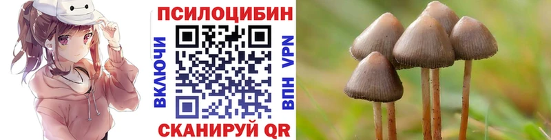 Галлюциногенные грибы Psilocybe  Вяземский 